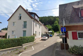 Ferienwohnungen Steiert